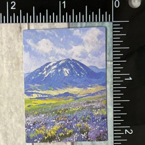 ๐10/$10๐ Oil Painting Reusable Vinyl Sticker Decal - Picture 1 of 1